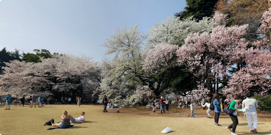 Jardin national Shinjuku Gyoen: le joyau botanique de Tokyo